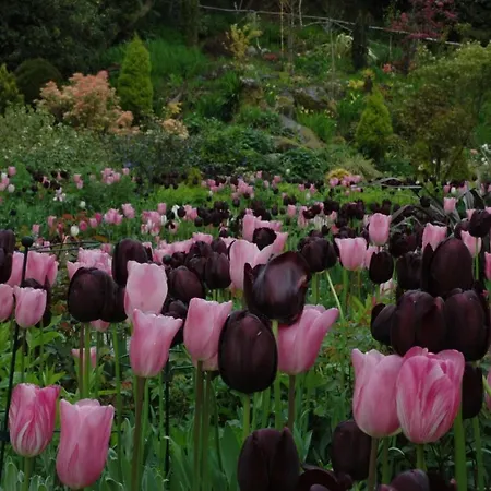 Cashel House 라운드스톤