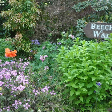 Hotel Cashel House 4*