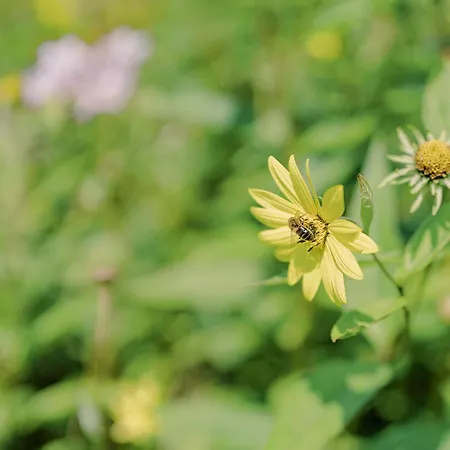 Cashel House 호텔 4*