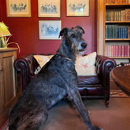 Hotel Cashel House 4*