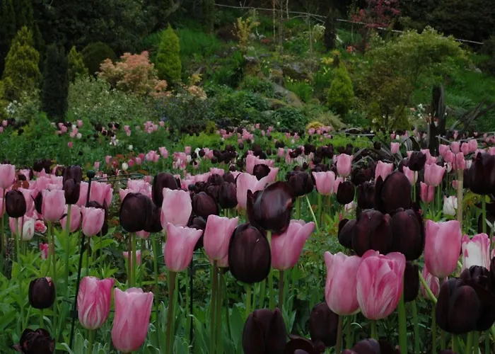 Cashel House Roundstone