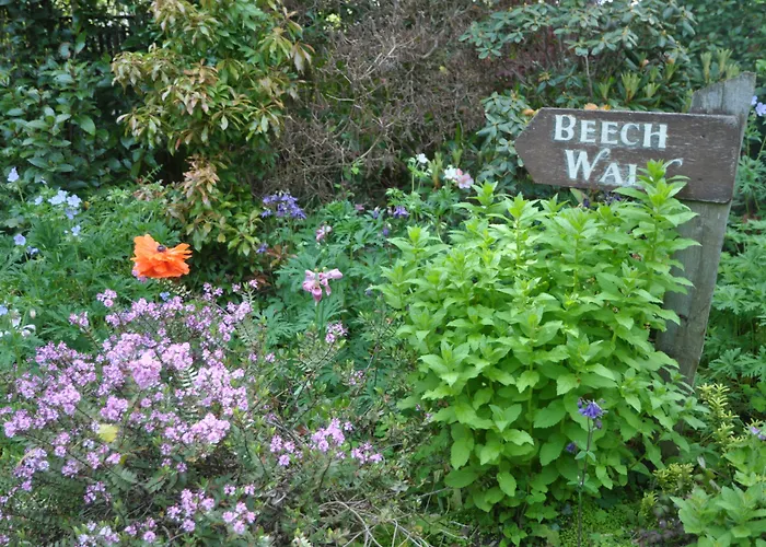 ホテル Cashel House 4*