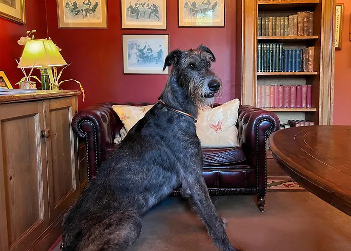 ホテル Cashel House 4*