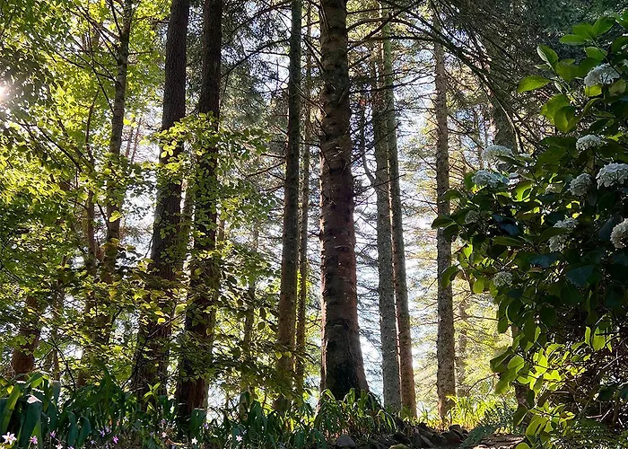 Cashel House Roundstone